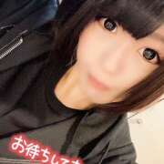 ヒメ日記 2025/04/12 14:56 投稿 もえ ていくぷらいど.学園