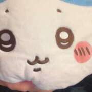 ヒメ日記 2025/11/04 07:42 投稿 みやび ていくぷらいど.学園