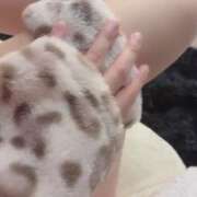 ヒメ日記 2026/03/24 09:25 投稿 みやび ていくぷらいど.学園