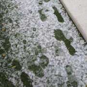 ヒメ日記 2025/02/04 11:50 投稿 かな エディーズ