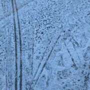 ヒメ日記 2025/02/06 09:56 投稿 かな エディーズ