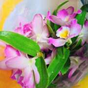 ヒメ日記 2025/04/10 19:06 投稿 かな エディーズ