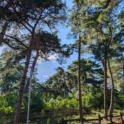 ヒメ日記 2025/07/22 16:36 投稿 かな エディーズ