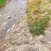 ヒメ日記 2025/09/25 07:44 投稿 かな エディーズ