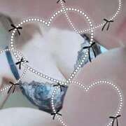 ヒメ日記 2025/10/04 10:02 投稿 かな エディーズ