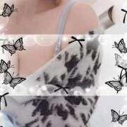 ヒメ日記 2025/11/15 09:36 投稿 かな エディーズ