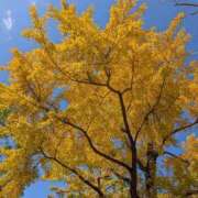 ヒメ日記 2025/11/18 20:26 投稿 かな エディーズ