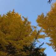 ヒメ日記 2025/11/28 09:36 投稿 かな エディーズ