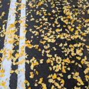 ヒメ日記 2025/11/29 09:36 投稿 かな エディーズ