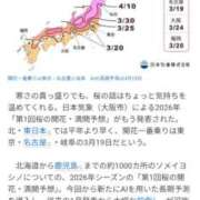ヒメ日記 2025/12/22 14:00 投稿 かな エディーズ