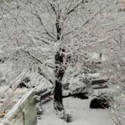 ヒメ日記 2026/01/12 07:58 投稿 かな エディーズ