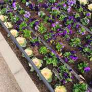 ヒメ日記 2026/01/14 16:49 投稿 かな エディーズ