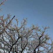 ヒメ日記 2026/02/04 16:56 投稿 かな エディーズ