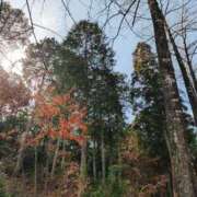 ヒメ日記 2026/02/24 11:56 投稿 かな エディーズ