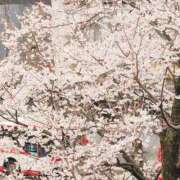 ヒメ日記 2026/03/18 11:16 投稿 かな エディーズ