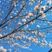ヒメ日記 2026/03/24 10:00 投稿 かな エディーズ