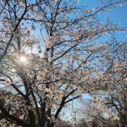 ヒメ日記 2026/03/26 18:46 投稿 かな エディーズ
