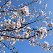 ヒメ日記 2026/03/27 09:59 投稿 かな エディーズ