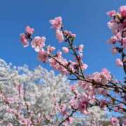 ヒメ日記 2026/03/29 08:52 投稿 かな エディーズ