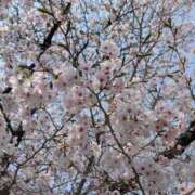ヒメ日記 2026/03/30 06:16 投稿 かな エディーズ