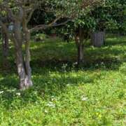 かな こんにちは エディーズ