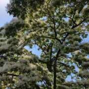 ヒメ日記 2026/04/30 10:06 投稿 かな エディーズ