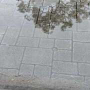 ヒメ日記 2026/09/09 14:26 投稿 かな エディーズ
