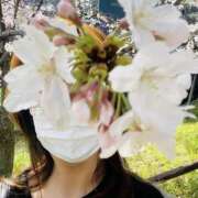 ヒメ日記 2025/04/04 22:26 投稿 かんな エディーズ