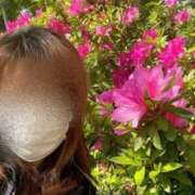 ヒメ日記 2025/05/07 22:26 投稿 かんな エディーズ