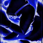 ヒメ日記 2025/10/26 19:16 投稿 かんな エディーズ