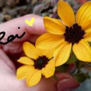 ヒメ日記 2025/01/04 07:37 投稿 れい エディーズ