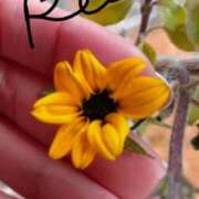 ヒメ日記 2025/02/04 07:20 投稿 れい エディーズ