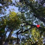 ヒメ日記 2025/03/22 08:01 投稿 れい エディーズ