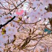 ヒメ日記 2025/04/08 07:16 投稿 れい エディーズ