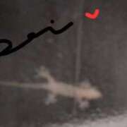 ヒメ日記 2025/04/27 10:49 投稿 れい エディーズ