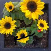 ヒメ日記 2025/05/01 07:35 投稿 れい エディーズ