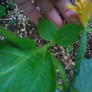 ヒメ日記 2025/05/18 23:16 投稿 れい エディーズ