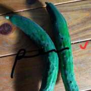 ヒメ日記 2025/06/23 10:07 投稿 れい エディーズ