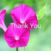 ヒメ日記 2025/07/04 17:56 投稿 れい エディーズ