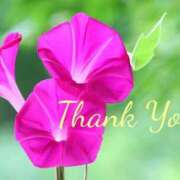 ヒメ日記 2025/07/21 17:47 投稿 れい エディーズ