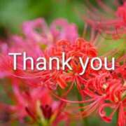 ヒメ日記 2025/09/24 17:50 投稿 れい エディーズ