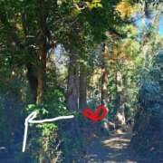 ヒメ日記 2025/11/23 06:56 投稿 れい エディーズ