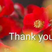 ヒメ日記 2026/01/12 18:16 投稿 れい エディーズ