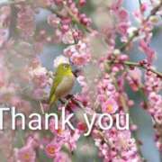 れい Thanks☆ エディーズ