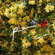 ヒメ日記 2026/04/18 07:46 投稿 れい エディーズ