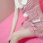 ヒメ日記 2024/12/20 09:20 投稿 ナオ ファーストレディー