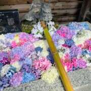 ヒメ日記 2025/06/25 21:35 投稿 ナオ ファーストレディー