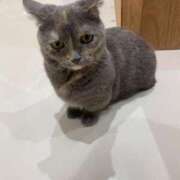 ヒメ日記 2025/09/01 23:01 投稿 ナオ ファーストレディー