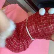 ヒメ日記 2025/12/26 10:49 投稿 ナオ ファーストレディー