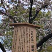 ヒメ日記 2025/04/11 18:44 投稿 れん ミセス大阪十三店